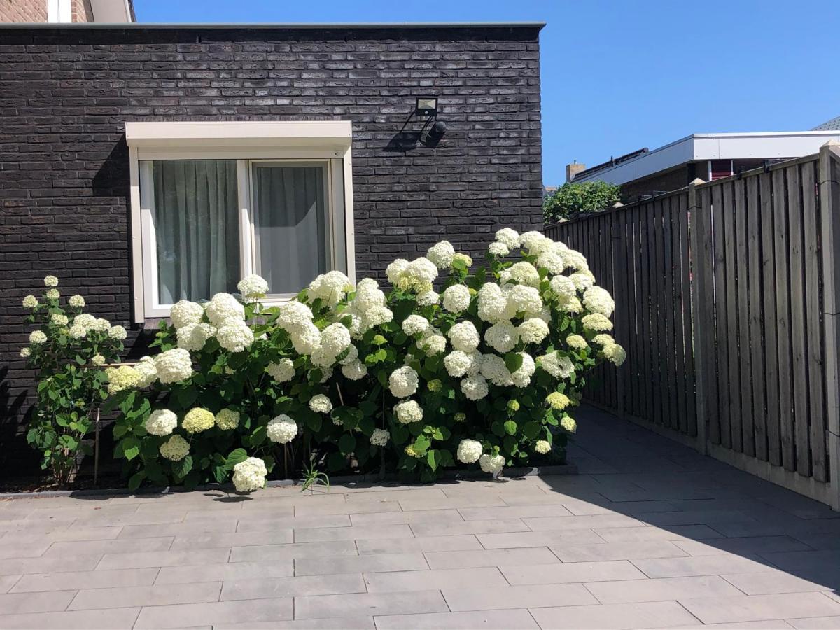 Zoutelande Koddelaan Vakantiewoning Exterior foto