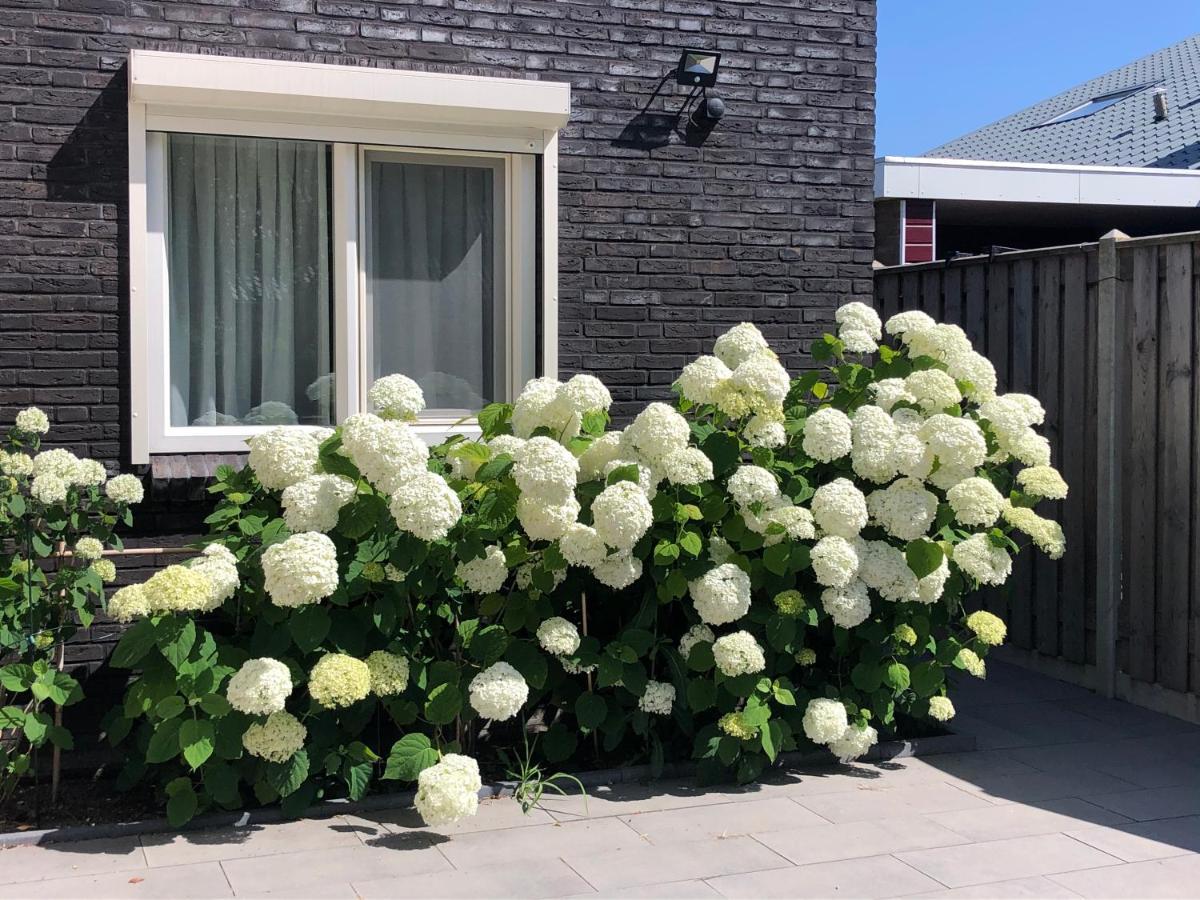 Zoutelande Koddelaan Vakantiewoning Exterior foto